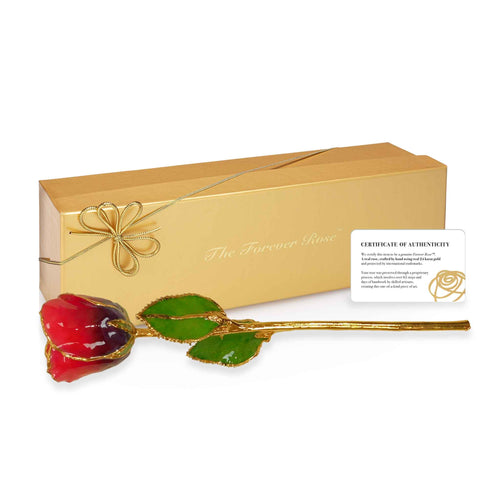 Forever Rose Cabernet Sauvignon Celebration Gift Set