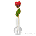 Forever Rose Cabernet Sauvignon Celebration Gift Set