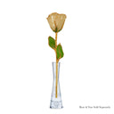 24K Gold Champagne Rose Bundle with Moet & Chandon Champagne (Includes Champagne)
