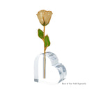 24K Gold Champagne Rose Bundle with Moet & Chandon Champagne (Includes Champagne)