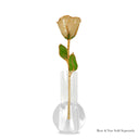 24K Gold Champagne Rose Bundle with Moet & Chandon Champagne (Includes Champagne)