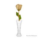 24K Gold Champagne Rose Bundle with Moet & Chandon Champagne (Includes Champagne)