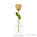 24K Gold Champagne Rose Bundle with Moet & Chandon Champagne (Includes Champagne)