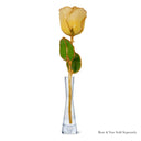 Forever Rose Chardonnay Celebration Gift Set