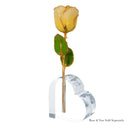 Forever Rose Chardonnay Celebration Gift Set
