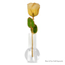 Forever Rose Chardonnay Celebration Gift Set