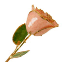 24K Gold Rosé Rose Bundle with Chateau Ste. Michelle Rosé  (Includes Wine)