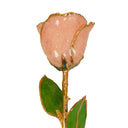 24K Gold Rosé Rose Bundle with Chateau Ste. Michelle Rosé  (Includes Wine)