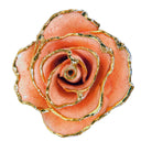 24K Gold Rosé Rose Bundle with Chateau Ste. Michelle Rosé  (Includes Wine)