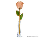 24K Gold Rosé Rose Bundle with Chateau Ste. Michelle Rosé  (Includes Wine)