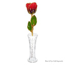 Forever Rose Cabernet Sauvignon Celebration Gift Set