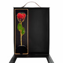 Forever Rose Cabernet Sauvignon Celebration Gift Set