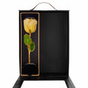 Forever Rose Chardonnay Celebration Gift Set
